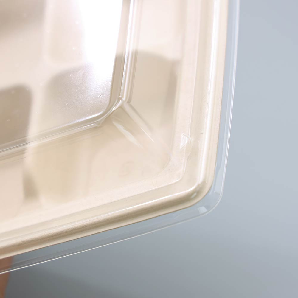 バガス 再生紙製容器用フタ SBT パルプ6区切りトレイ(240×181×25mm)用 蓋 フタ PP ふた 400枚セット 防曇蓋 お弁当容器 弁当(サトウキビの搾りカスから再生された堆肥可能なパルプ製)業務用 大容量 (メーカー直送品)