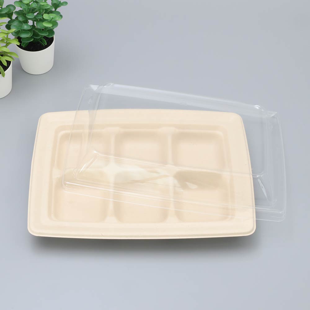 バガス 再生紙製容器用フタ SBT パルプ6区切りトレイ(240×181×25mm)用 蓋 フタ PP ふた 400枚セット 防曇蓋 お弁当容器 弁当(サトウキビの搾りカスから再生された堆肥可能なパルプ製)業務用 大容量 (メーカー直送品)