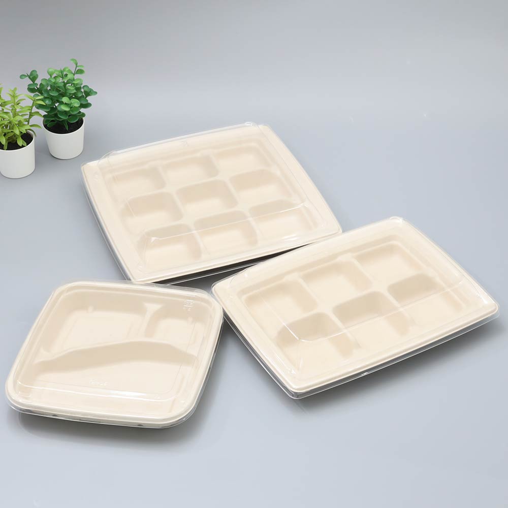 バガス 再生紙製容器用フタ SBT パルプ6区切りトレイ(240×181×25mm)用 蓋 フタ PP ふた 400枚セット 防曇蓋 お弁当容器 弁当(サトウキビの搾りカスから再生された堆肥可能なパルプ製)業務用 大容量 (メーカー直送品)