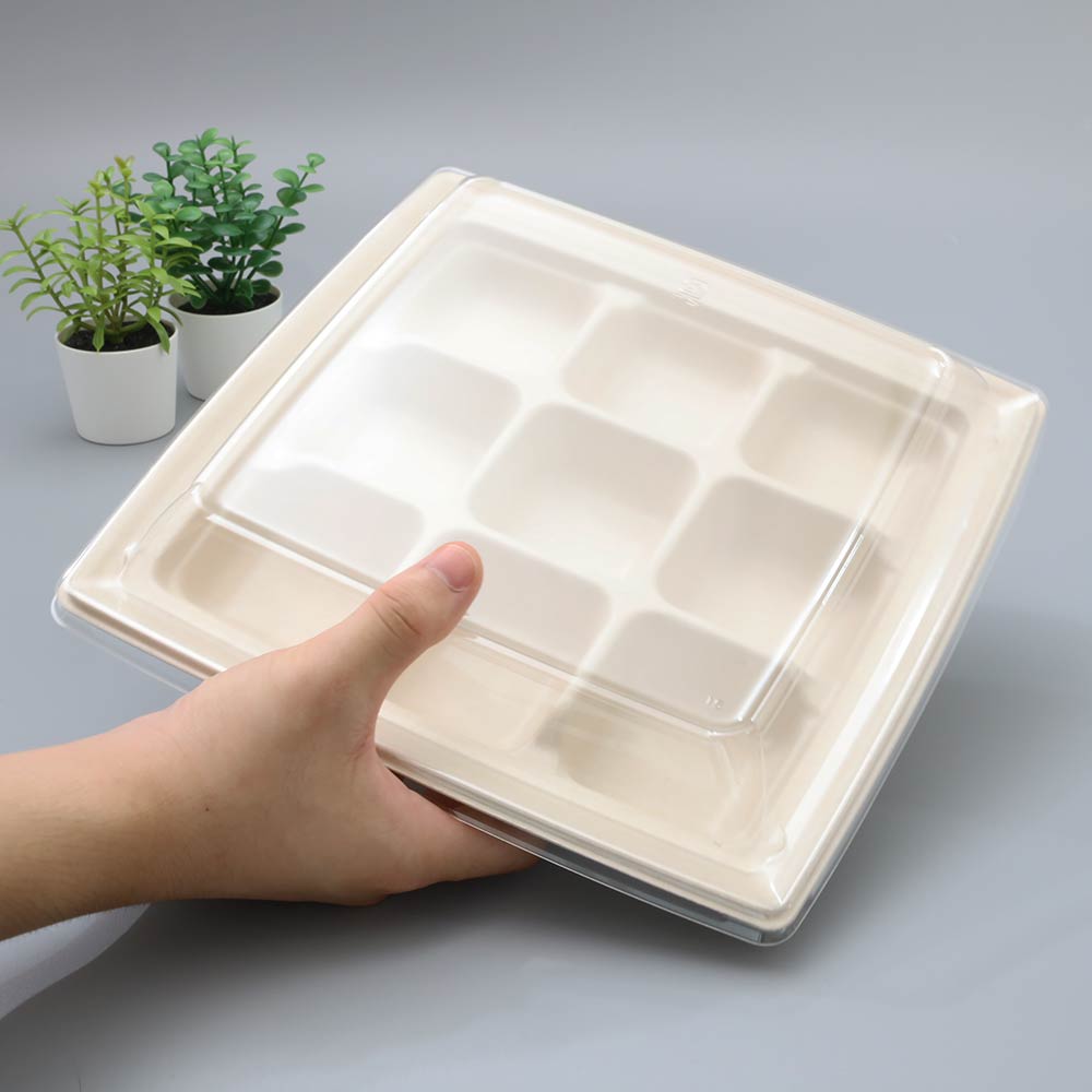 バガス 再生紙製容器用フタ SBT パルプ9区切りトレイ(240×240×25mm)用 蓋 フタ PP ふた 400枚セット 防曇蓋 お弁当容器 弁当(サトウキビの搾りカスから再生された堆肥可能なパルプ製)業務用 大容量 (メーカー直送品)