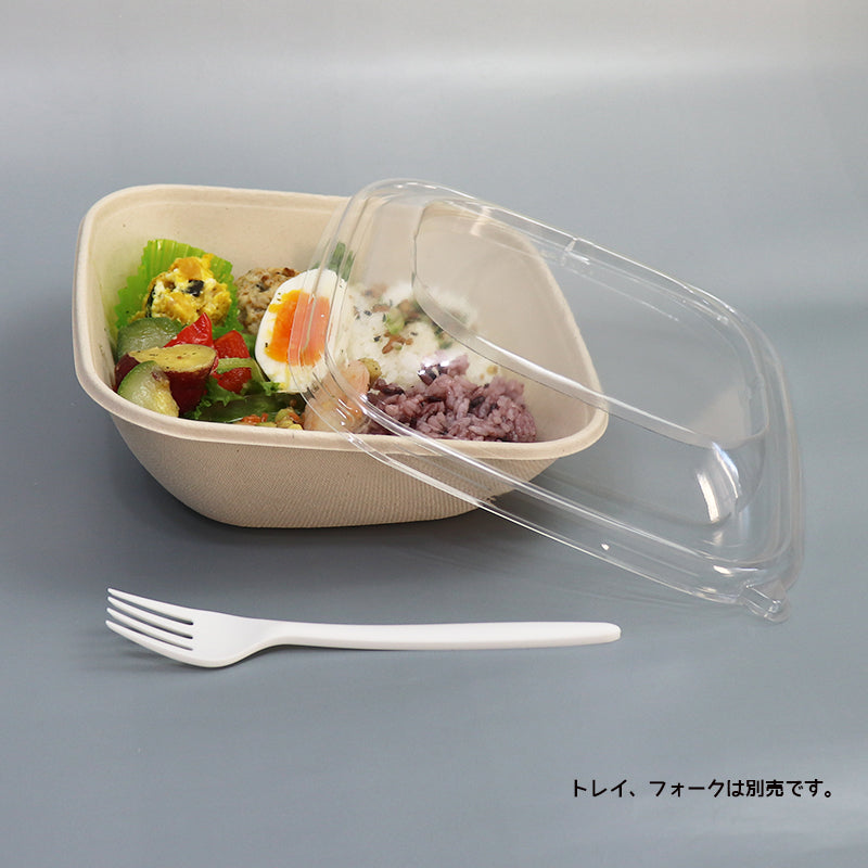 バガス 再生紙製容器 スロープ型パルプ容器用 18cm角用 PET 蓋 190×190×40 300個セット (サトウキビの搾りカスから再生された堆肥可能なパルプ製)業務用 大容量 (メーカー直送品)
