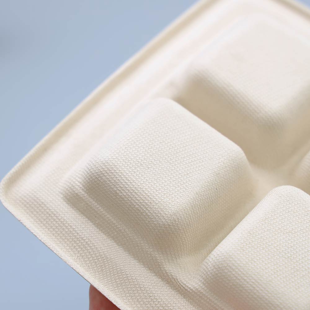 バガス 再生紙製容器 SBT パルプ6区切りトレイ 240×181×25mm 400枚セット お弁当容器 弁当(サトウキビの搾りカスから再生された堆肥可能なパルプ製)業務用 大容量 (メーカー直送品)