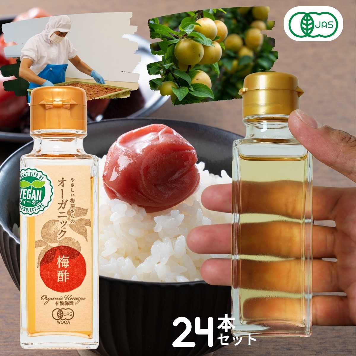 有機 梅酢 オーガニック 白酢 オーガニック梅酢 100g ×24本セット 無添加の塩分20%の無農薬 梅酢 白梅酢梅酢 国産 有機JAS 和歌山産 自社農園 栽培 有機栽培 深見梅店