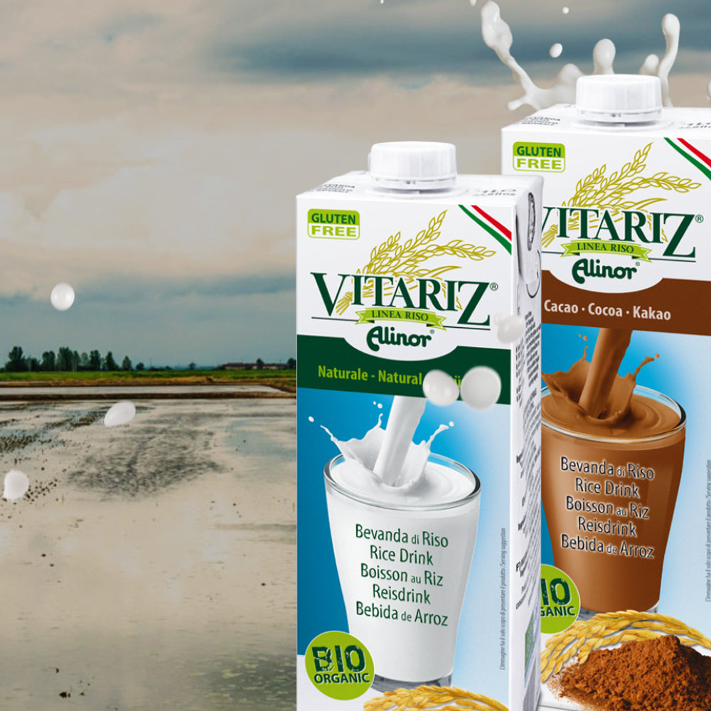 ビタリッツ オーガニック ライスミルク 1L (1,000ml)× 10本セット VITARIZ Alinor spa 有機 有機JAS認定 ノンシュガー 1L オーガニック穀物ドリンク (メーカー直送 離島・沖縄除く)