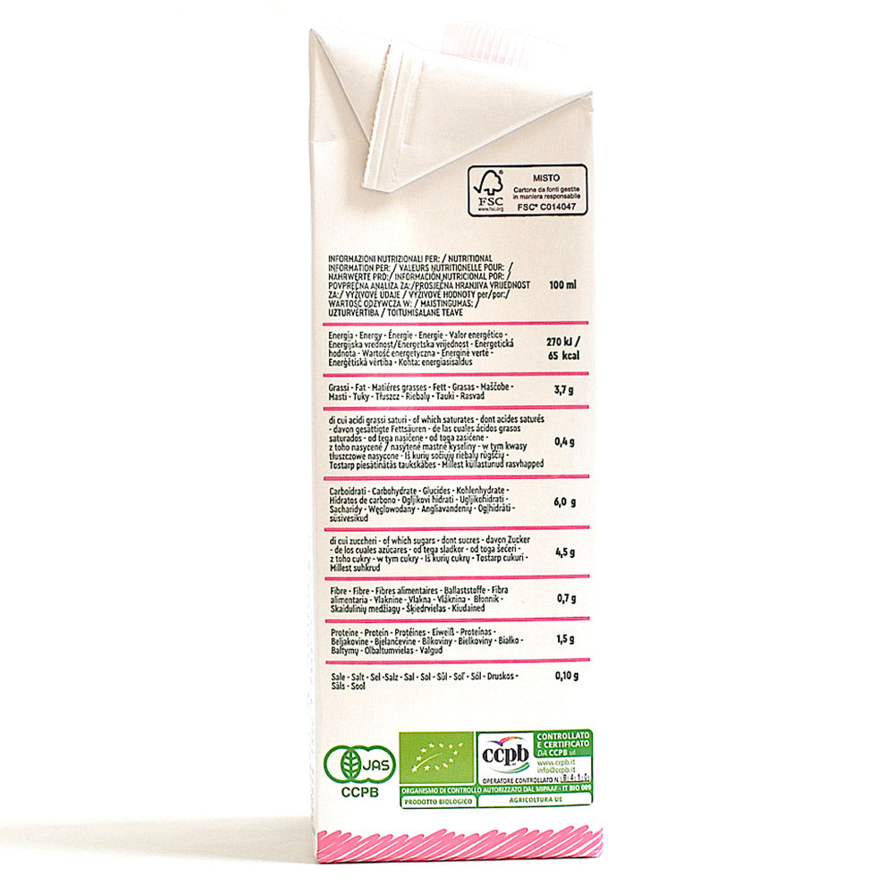 ビタシ オーガニック アーモンドミルク 1L (1,000ml)× 10本セット VITASI Alinor spa 有機 有機JAS認定 ノンシュガー 1L オーガニック 植物ドリンク(メーカー直送 離島・沖縄除く)