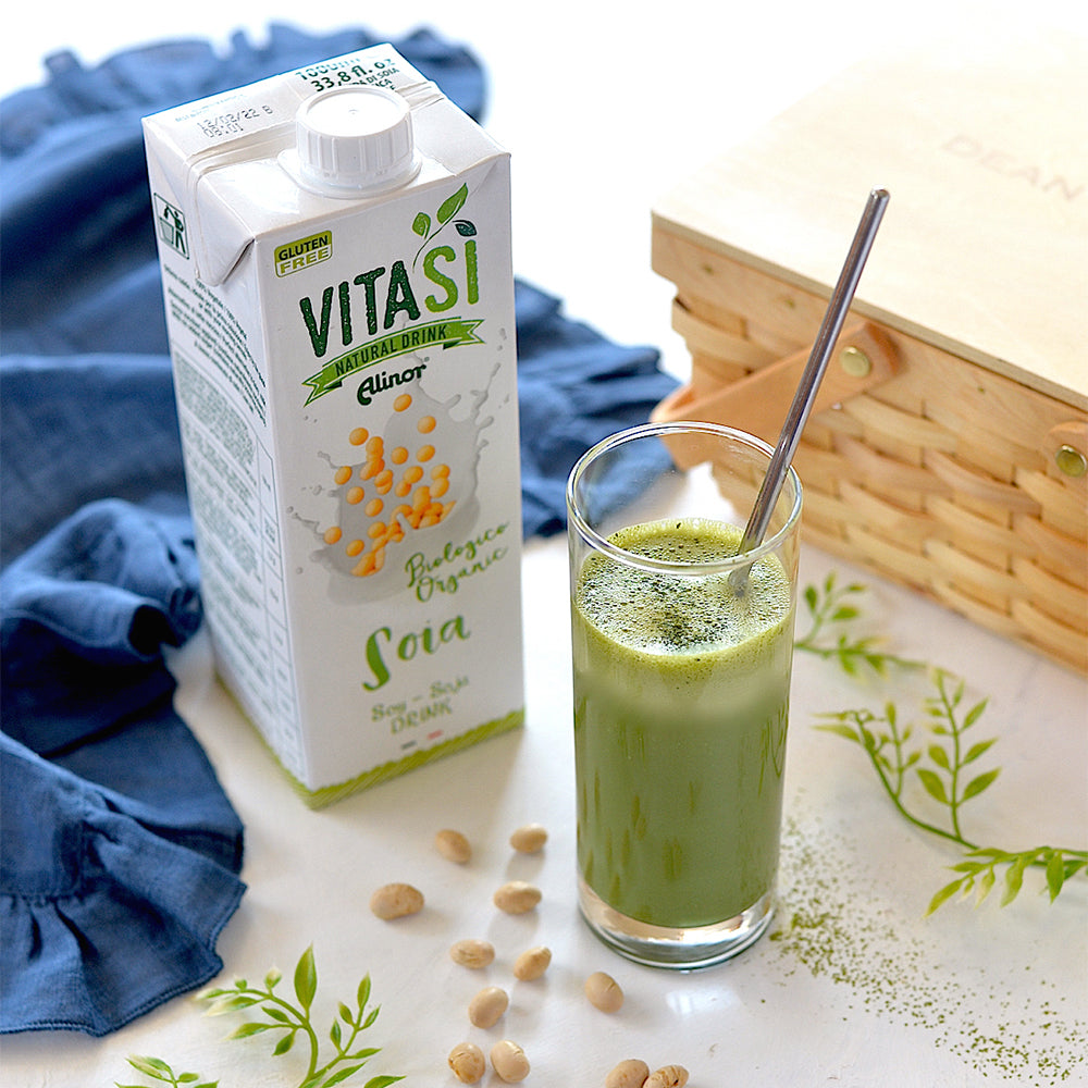ビタシ オーガニック ソイミルク 1L (1,000ml)× 10本セット VITASI Alinor spa 有機 有機JAS認定 豆乳 ノンシュガー 1L オーガニック 植物ドリンク(メーカー直送 離島・沖縄除く)