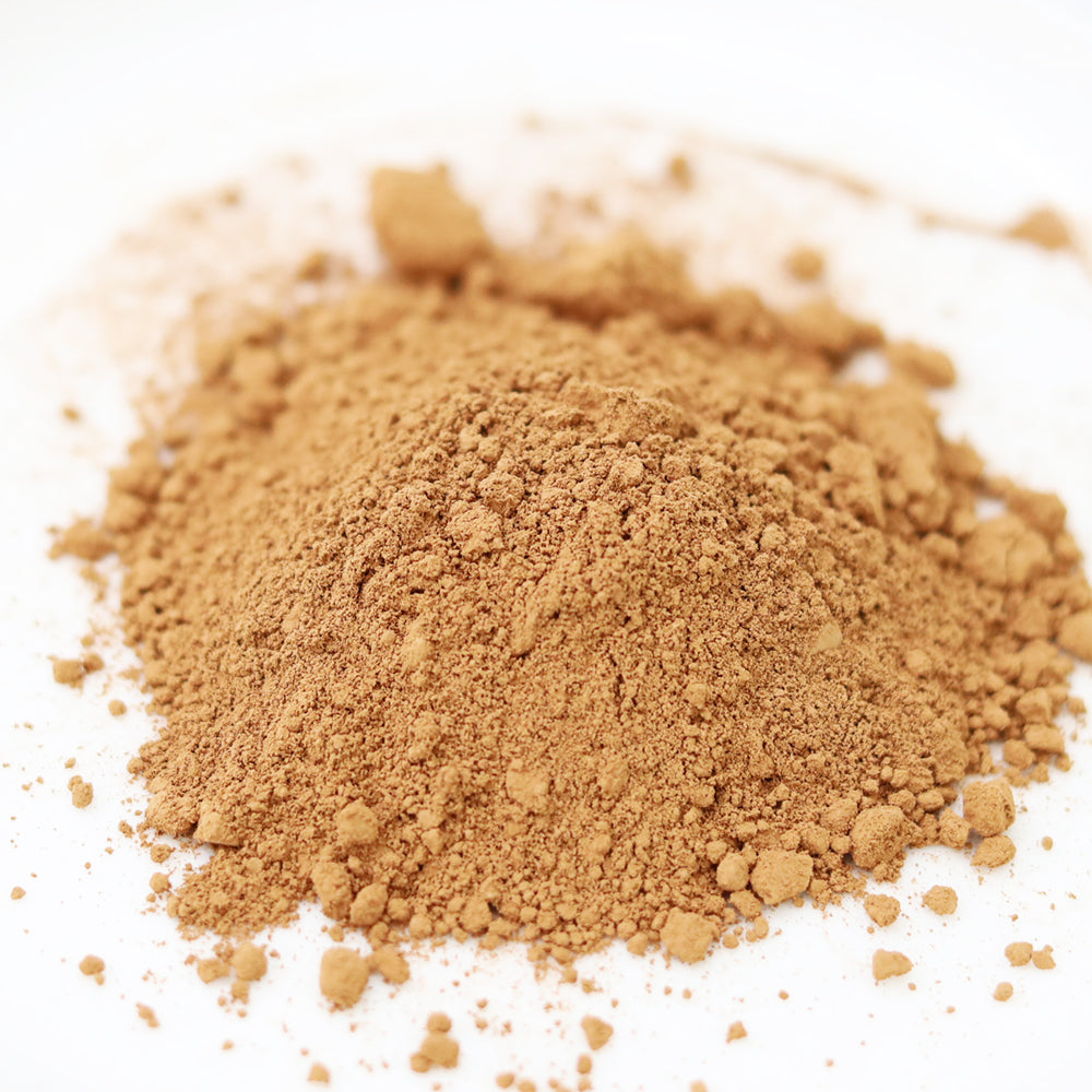 有機ココアパウダー 非アルカリ処理 ナチュラル 業務用 1Kg(500g×2)有機JAS認定 有機カカオ オーガニック ペルー産 混ぜ込み トッピング パン 菓子 製菓