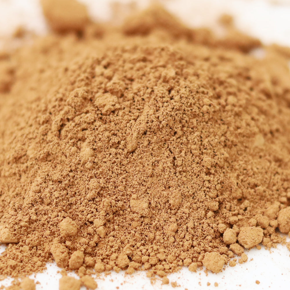 有機ココアパウダー 非アルカリ処理 ナチュラル 業務用 1Kg(500g×2)有機JAS認定 有機カカオ オーガニック ペルー産 混ぜ込み トッピング パン 菓子 製菓