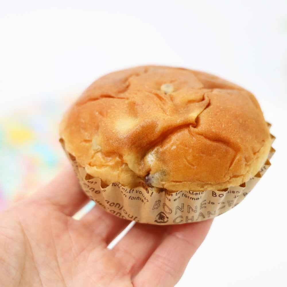 賞味期限3か月90日のパン 60個(6種×10個)セット Vエイドパン 防災パン 保存食 防災食 ヴィーガン対応 保存料、着色料、化学調味料、添加物も不使用