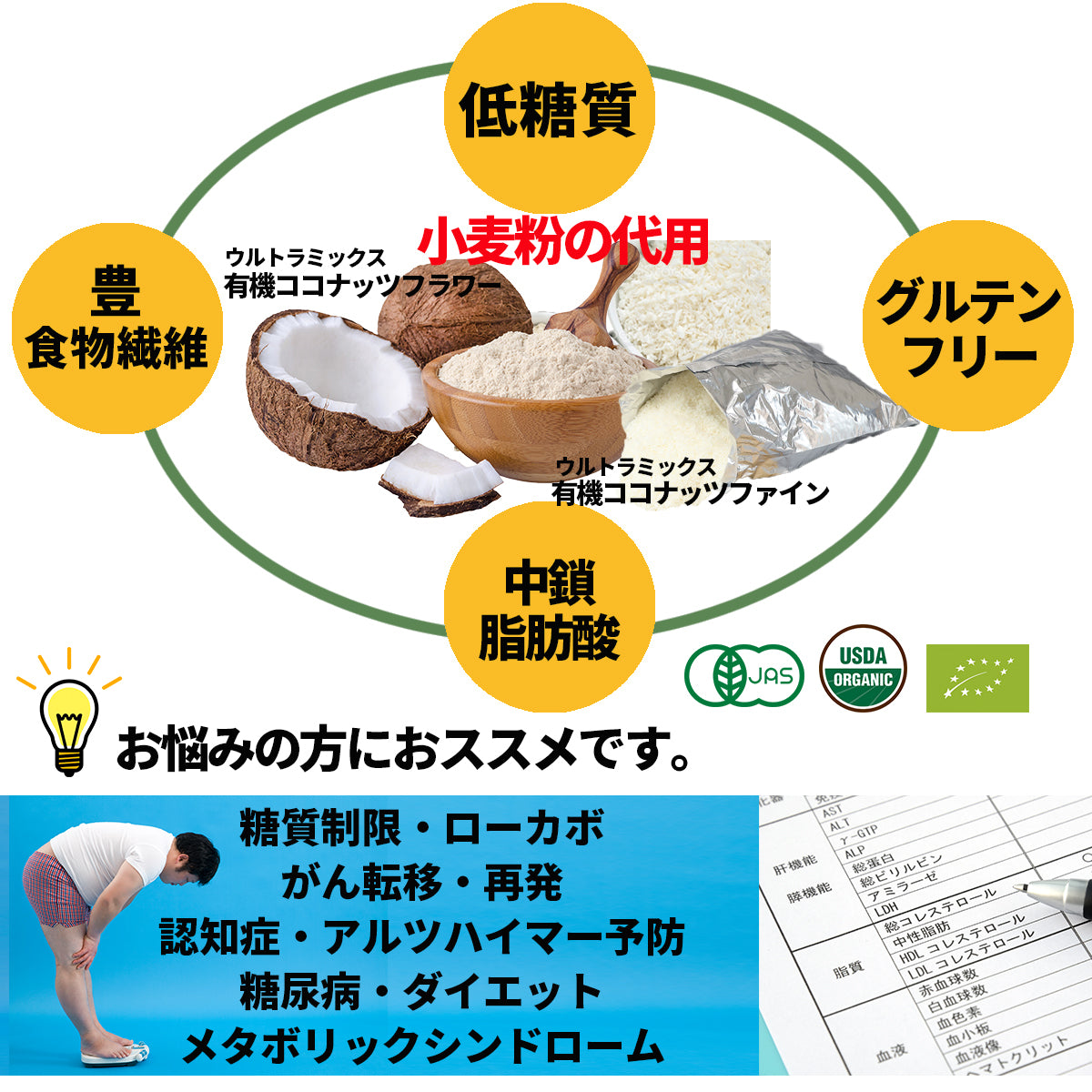 ウルトラミックス 有機ココナッツファイン(ココナッツチップ) 1Kg ココナッツフレーク 無漂白 デジケードココナッツ有機JAS認定