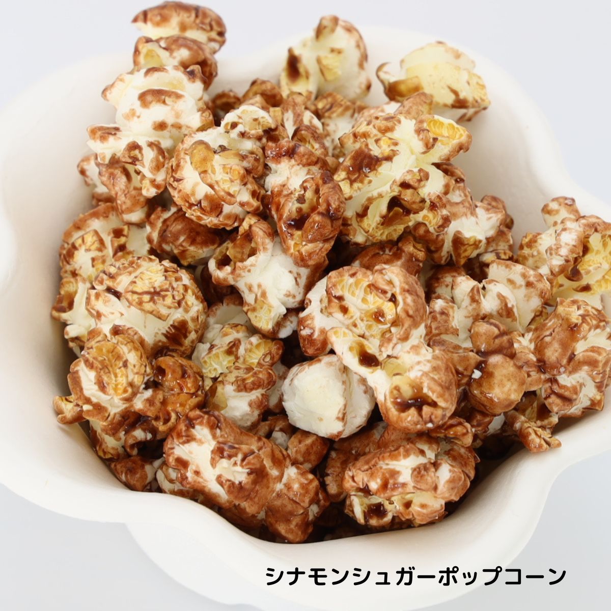 業務用ポップコーン用シュガー1Kg×20 お好きなフレーバー選んで20袋(種)セット シナモンシュガー/チョコレートシュガー/いちごミルクシュガー/キャラメルシュガー ポップコーン トッピング フレーバーシュガー (メーカー直送)
