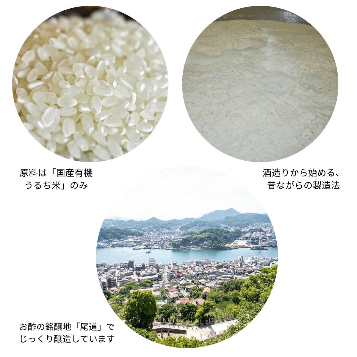 業務用 有機 純米酢 20L(20ℓポリ容器)マルシマ 広島県 尾道市産 国産 有機 オーガニック ビネガー 酢 純米酢 純正食品マルシマ organic rice vinegar 国内産