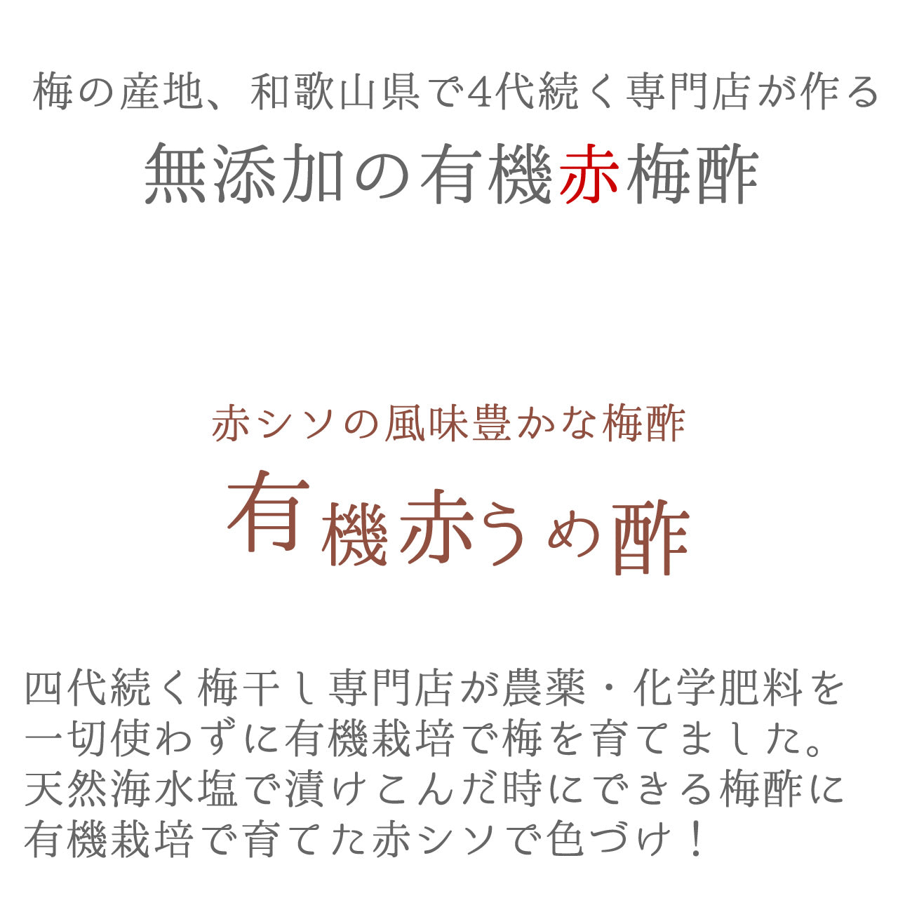 有機 梅酢 赤梅酢 オーガニック オーガニック赤梅酢 100g ×24本セット 梅酢 国産 有機JAS 和歌山産 有機赤梅酢 自社農園 栽培 有機栽培 深見梅店