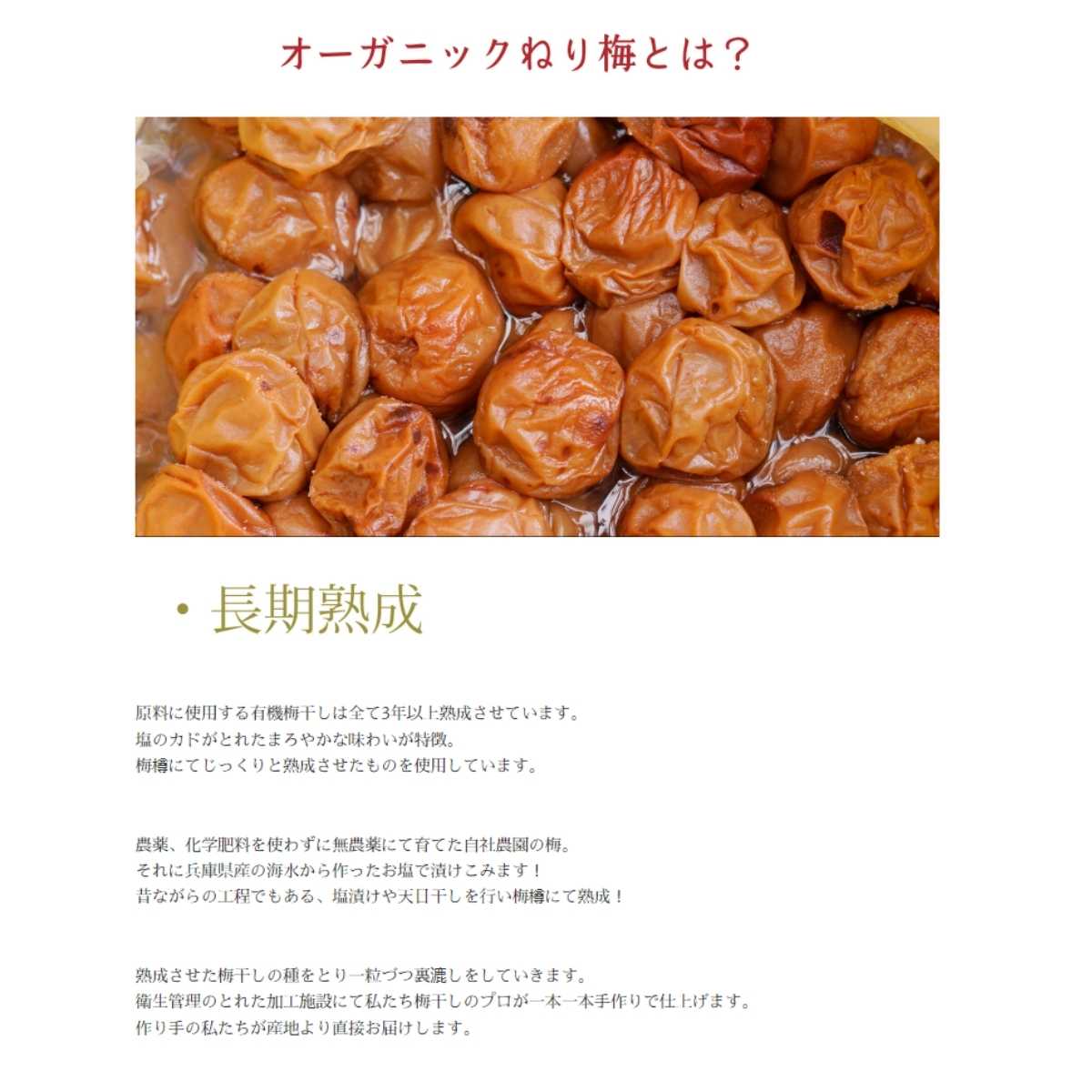 有機 練り梅 オーガニック 液体 ねり梅 オーガニックねり赤梅 110ｇ ×24本セット  赤ねり梅 国産 有機JAS 和歌山産 有機ねり梅 自社農園 栽培 有機栽培 深見梅店