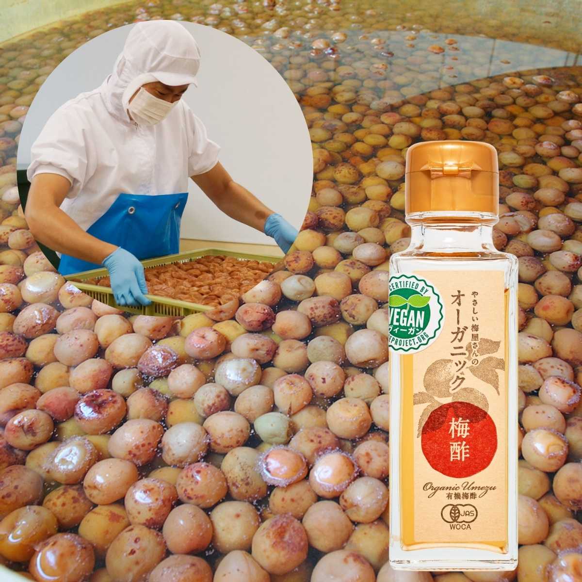 有機 梅酢 オーガニック 白酢 オーガニック梅酢 100g ×24本セット 無添加の塩分20%の無農薬 梅酢 白梅酢梅酢 国産 有機JAS 和歌山産 自社農園 栽培 有機栽培 深見梅店