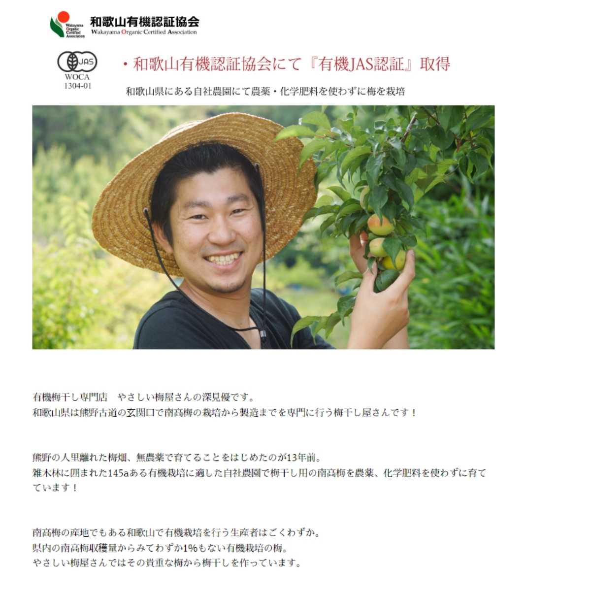 有機 梅酢 オーガニック 白酢 オーガニック梅酢 100g ×24本セット 無添加の塩分20%の無農薬 梅酢 白梅酢梅酢 国産 有機JAS 和歌山産 自社農園 栽培 有機栽培 深見梅店