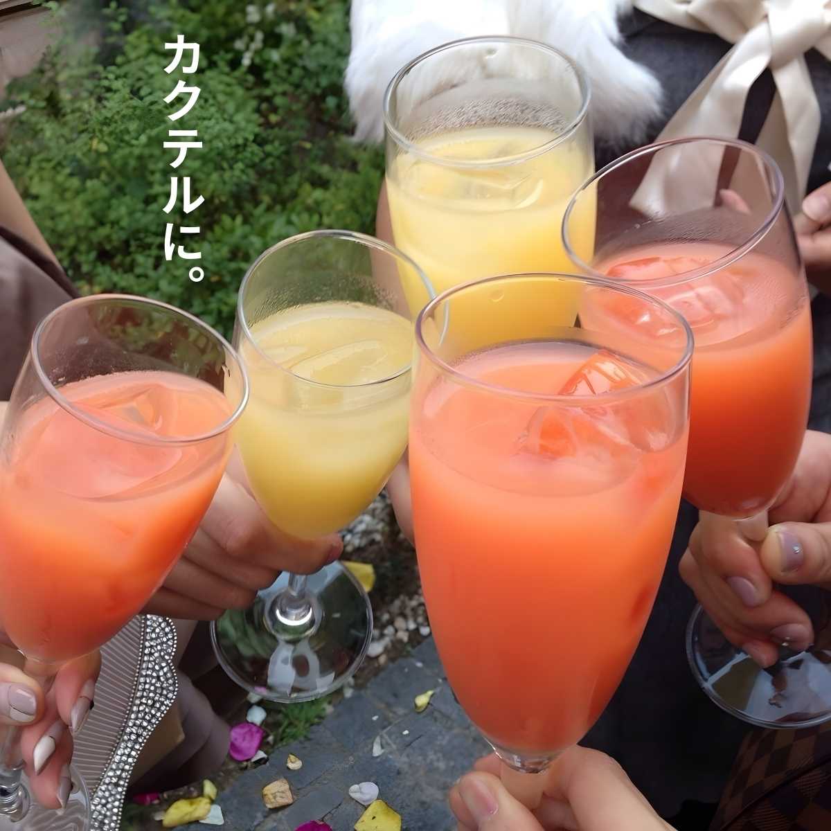 業務用 サンチー ストレート果汁 500ml ×24本 サワー80杯分 5～10倍希釈 焼酎割り カクテル 料理 ポン酢 かき氷居酒屋 バー 和食店 カフェに人気 シークワーサー 原液 ゆず かぼす すだち 柚子 ライムと似た香り サワー 原料 手作り ポン酢