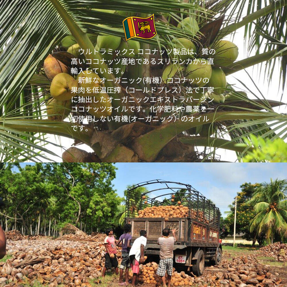 ココナッツオイル オーガニック 有機JAS 500ｍｌ 低温圧搾（コールドプレス）法　エキストラバージン ココナッツオイル100％ スリランカ直輸入